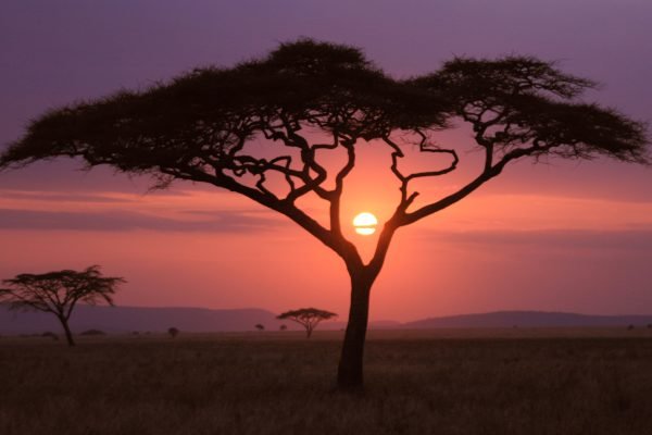 Embracing Self-Care: A Journey of Discovery for Ambitious Women